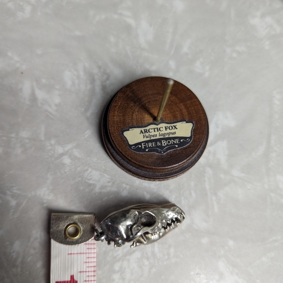 Arctic Fox articulated skull - miniaturized model by Fire & Bone in white bronze - Picture 4 of 4
